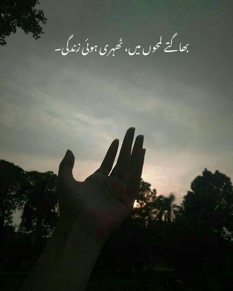 Urdu Captions, Urdu Aesthetic, Urdu Poetry 2 Lines, One Line Poetry, One Line Quotes, 1 Line Quotes, Urdu Funny Poetry, Soul Poetry, Love Poetry Images