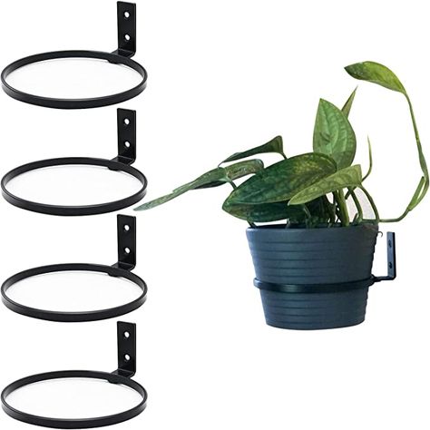 AmazonSmile: LINERY 8 inches 4-Pack Matte Black Hanging Plant Holder Wall Mounted Flower Plant Holder Support Ring Iron Anti-Rust Fit for Outdoor/Indoor Home Decoration : Patio, Lawn & Garden Wall Mounted Flower, Wall Mounted Plant Holder, Wall Plant Holder, Wall Hanging Designs, Small Flower Pots, Large Flower Pots, Hanging Flower Baskets, Hanging Plant Holder, Face Planters