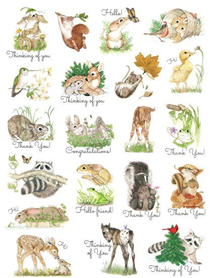 Cute Critter Animal Stickers ~ Playful Woodland Animals with Sentiments (20 Stickers; 1-1) Cute Critters, Woodland Critters, Scrapbooking Stickers, Forest Friends, Crafts Projects, Animal Stickers, Cute Animal Pictures, Summer Art, Arts And Crafts Projects