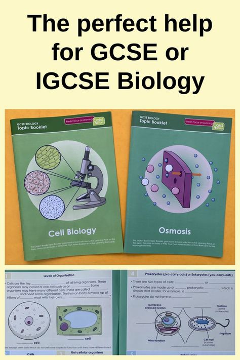 Great Packs to help with GCSE or IGCSE Biology topics. Comes with summary notes, write in booklet and question cards. Great for revision and for kids learning at home Biology Topics, Igcse Biology, Gcse Biology, Summary Notes, Biology Revision, Gcse Revision, Learning At Home, Revision Notes, Science Topics