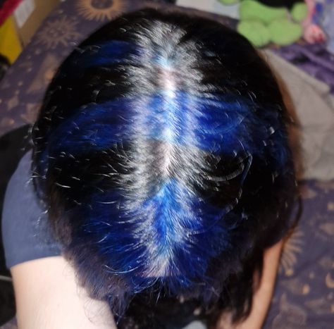 I love my hair Green Stripes Hair, Chunky Stripes Hair, Chunky Blue Highlights On Dark Hair, Skunk Stripe Hair Blue, Blue Skunk Hair, Blue And Black Highlights, Blue Skunk Stripe Hair, Blue Hair Streaks, Skunk Stripe Hair