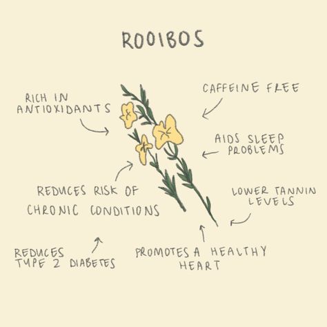 Why do we choose rooibos tea instead of black tea for our chai blend? 🧐 🍵 Rooibos tea is naturally caffeine free, meaning you can drink Frank n Al before bed, if you’re breastfeeding, wanting to reduce/eliminate caffeine from your diet 🍵 Rooibos has lower tannin levels! Tannins are considered nutritionally undesirable because they precipitate proteins, inhibit digestive enzymes and affect the utilization of vitamins and minerals.* 🍵 Your skin loves rooibos! Rooibos is rich in alpha hyd... Roobois Tea Benefits, Rooibos Tea Recipes, Rooibos Tea Benefits, Witch Things, Rooibos Tea, Can Drink, Tea Benefits, Digestive Enzymes, Before Bed