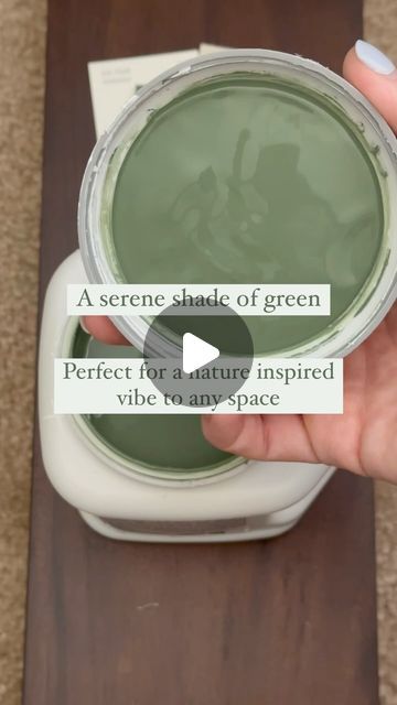 Thyme Green Color Palette, Sherwin Williams Green Labyrinth, Soft Moss Green Paint, It’s About Thyme Paint Color, Meadow Green Color, Paint Palettes, House Paint, Paint Palette, Green Paint