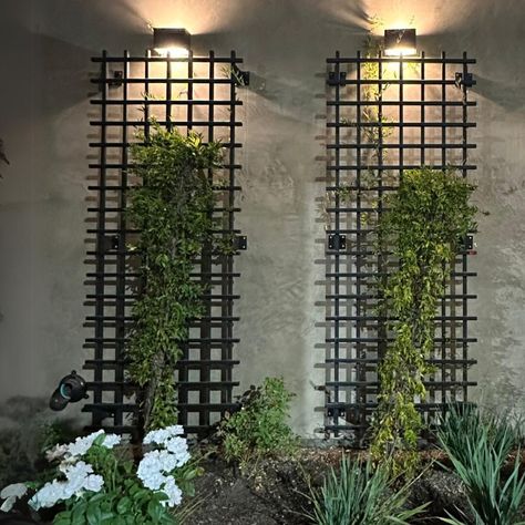 Whether you're looking to create an eye-catching focal point or just need something to help your plants grow, Let our modern trellis guide your outdoor life and allow your plants to grow, bloom and blossom adding natural green beauty to your space. Hand forged to your specifications here in the in the USA. Pick from multiple stunning finishes all powder coated to ensure it can withstand hard outdoor elements and last years to come. Easy installation that takes no more than 30 minutes. Easy to mo Wall Plants Outdoor, Living Walls Outdoor, Grid Trellis, Wall Mounted Plant, Trellis Wall, Balcony Tiles, Jeff Wall, Climbing Plant Support, Wall Trellis