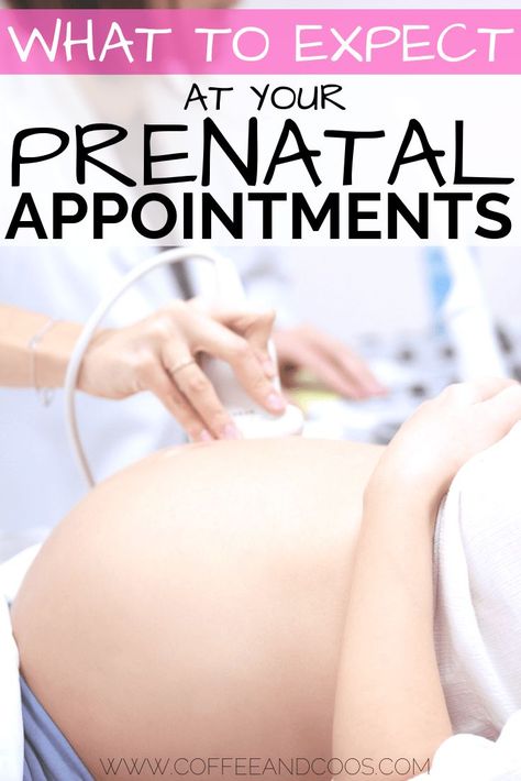 First Prenatal Appointment, Prenatal Appointment, Pregnancy Info, 1st Trimester, Pregnancy Information, Pumping Moms, Unborn Baby, Second Trimester, Baby Sleep Problems