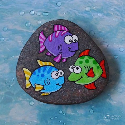 💙 #rockpainting #rockart #rostock #art #kunst #steinebemalen #paintedrocks #fish #rostockrocks #painting #stoneart #stonepainting… | Instagram Rock Painting Fish, Beach Rock Painting, Friendship Rocks, Rock Fish, Diy Fairy Door, Rock Painting Flowers, Funky Fish, Fish Rocks, Gnome Paint