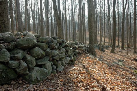 Wonder Of The World, American Gothic, Over The Garden Wall, Cosmic Horror, Rock Wall, Old Wall, Witch House, New Haven, Old Stone