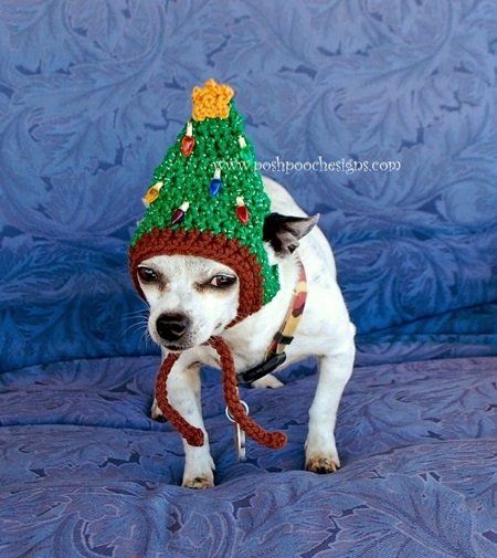 Crochet Christmas Tree Hat, Christmas Dog Hat, Crochet Christmas Trees Pattern, Puppy Hats, Crochet Christmas Tree, Christmas Tree Hat, Dog Sweater Pattern, Crochet Tree, Crochet Christmas Trees