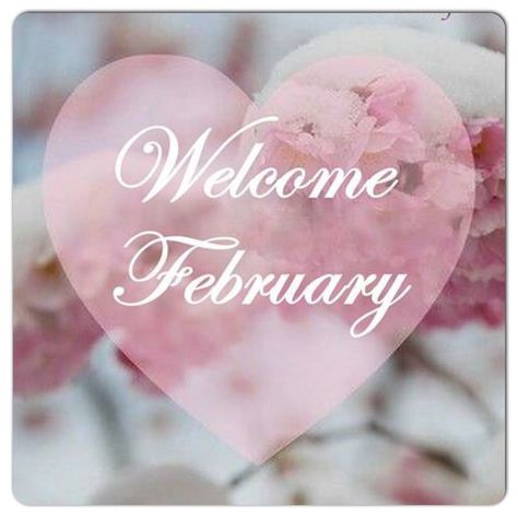 Monthly Greetings, February Images, Welcome February, February Quotes, February Wallpaper, February Month, Seasons Months, Happy Hearts Day, February Valentines