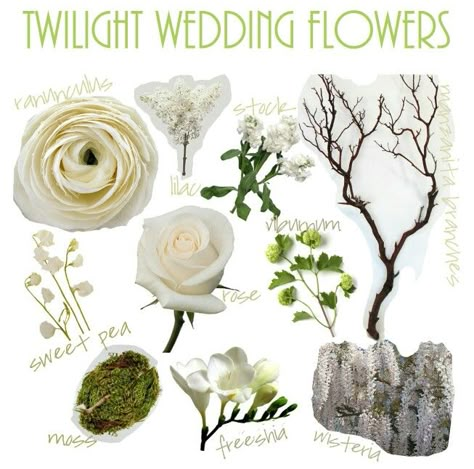 These are the flowers used in the twilight wedding Twilight Wedding Theme, Twilight Themed Wedding, Twilight Inspired Wedding, Breaking Dawn Wedding, Twilight Theme, Dawn Wedding, Twilight Wedding, Forest Theme Wedding, Bella Wedding