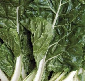 Omni diet - a Swiss chard salad recipe! Uses coconut dressing. Sounds interesting and I love chard! Omni Diet, Grain Brain, Broccoli Seeds, Organic Vegetable Garden, Seed Pack, Green Cabbage, Swiss Chard, Late Spring, Herb Seeds