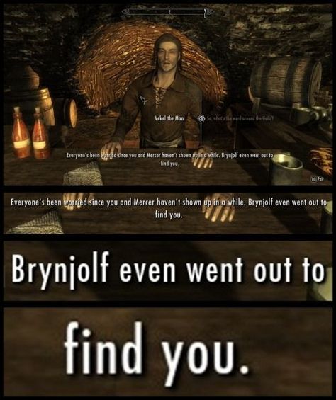 Skyrim Elder Scrolls, Tes Skyrim, Elder Scrolls Memes, Skyrim Game, Skyrim Funny, Scrolls Game, Elder Scrolls Games, Skyrim Art, Elder Scrolls Art