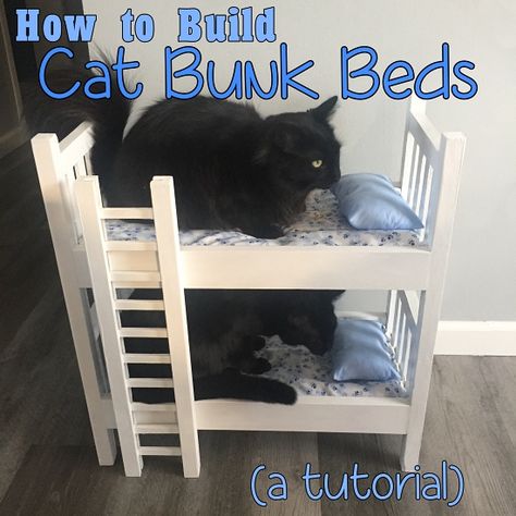 Cat Bunk Beds, Ikea Doll, Ikea Doll Bed, Beds For Cats, Doll Bunk Beds, Cat Rooms, Cat Room Ideas, Bunk Bed Plans, Cat Castle