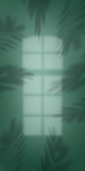 Shoot Effect Background, Background Studio Lighting, Snoot Photography Effect Png, Background Design Portrait, Poster Background Design Creative, Photo Studio Design Backgrounds, Photography Backgrounds Studio, Palm Leaves Background, Shoot Background