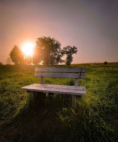 Bench Background, Sitting Background For Editing, Best Photo Editing Software, Gold Design Background, Cute Photo Poses, Blur Background Photography, Nature Background Images, Photoshop Backgrounds Free, Pink Background Images