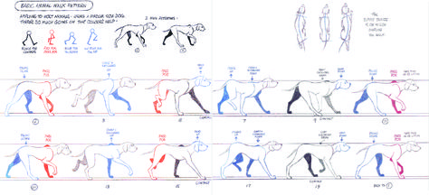 Dog Walk Dog Walking Drawing, Dog Walk Cycle, Walk Reference, Animation Guide, Animation Cycle, Motion Drawing, Animation Tips, Walking Animation, Walking Poses