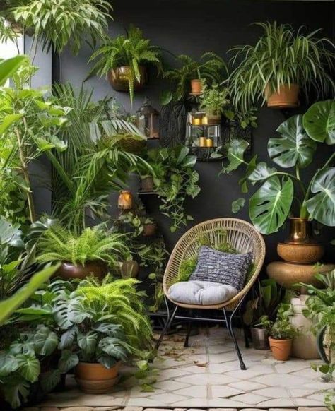 Patio Plants Decorating Ideas, Jungle Patio Ideas, Small Patio Plants, Small Indoor Garden, Wall Plants Indoor, Small Patio Design, Home Garden Ideas, Small Balcony Garden, Hanging Plant Wall