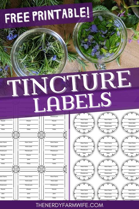 These free printable labels will help you keep track of your homemade herbal tinctures! Free Herbal Printables, Essential Oil Labels Diy Free Printable, Tincture Labels, Medicine Recipes, Tincture Bottles, Herb Labels, Diy Medicine, Herbal Education, Herbal Medicine Recipes