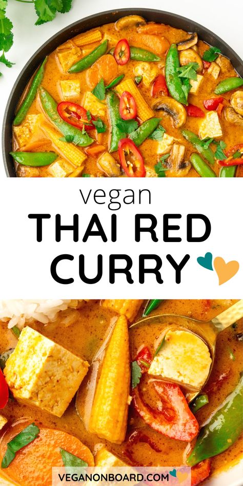 Vegan Red Curry Recipe, Thai Curry Recipes Vegetarian, Vegetarian Red Curry, Vegan Thai Red Curry, Thai Red Curry Soup, Creamy Coconut Sauce, Vegan Thai Curry, Red Curry Recipe, Thai Curry Recipes