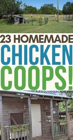 Diy Chicken Coop Ideas, Chicken Coop Designs Diy, Chicken Coop Ideas, Chicken Coop Plans Free, Build A Chicken Coop, Cheap Chicken Coops, Chicken Coop Pallets, Chicken Houses, Cute Chicken Coops