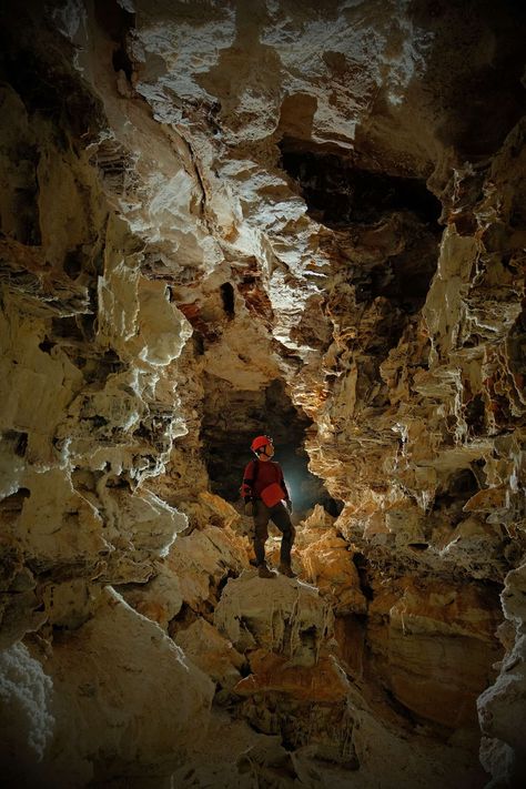 Wind Cave National Park South Dakota, Us Family Vacations, Wind Cave National Park, Carlsbad Caverns National Park, Sylvan Lake, Custer State Park, Cave Tours, National Parks Photography, Badlands National Park