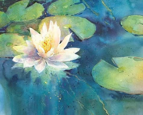 water lily | WATERCOLOR, ACRYLIC #2 | Pinterest | Water Lilies ... Water Lilies Painting, Lily Painting, Lotus Art, Lily White, Real Estate Photography, Color Painting, International Artist, Make Memories, Watercolor Inspiration