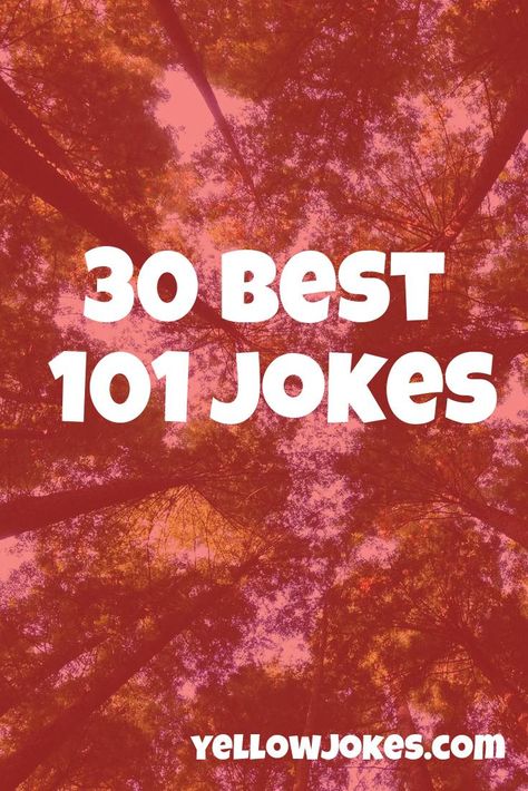 30 Best 101 Jokes Role Call, Teaching Computers, The Fool, Funny, Quick Saves