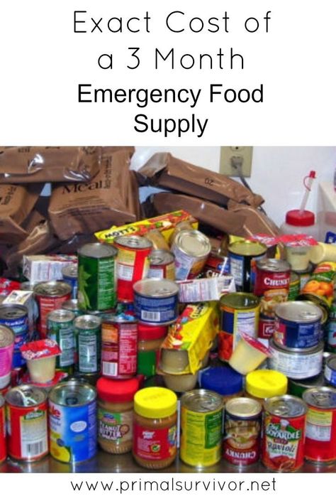 Best Emergency Food, Prepper Supplies, Survival Food Storage, Prepper Food, Emergency Preparedness Food, Shtf Preparedness, Emergency Food Storage, Emergency Food Supply, Non Perishable