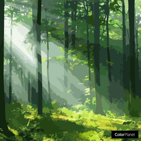 숲 사진, Forest Drawing, Trees Art, Forest Background, Scenery Background, Forest Illustration, Landscape Concept, Background Drawing, Arte Sketchbook