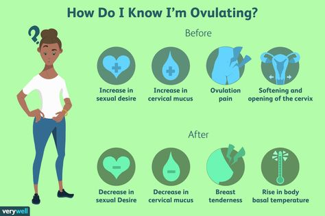 Ovulation: Everything You Need to Know to Get Pregnant Ovulation Mood, How To Ovulate Regularly, Cervix During Ovulation, How To Track Ovulation Cycle, Ovulation Signs, What Is Ovulation, Ovulation Symptoms, Cervical Mucus, Planning Pregnancy