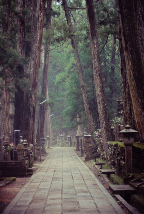 Koyasan Japan, Old Cemetery, Beautiful Places In Japan, Go To Japan, Wakayama, Yokohama, Pretty Places, Oh The Places Youll Go, Japanese Garden