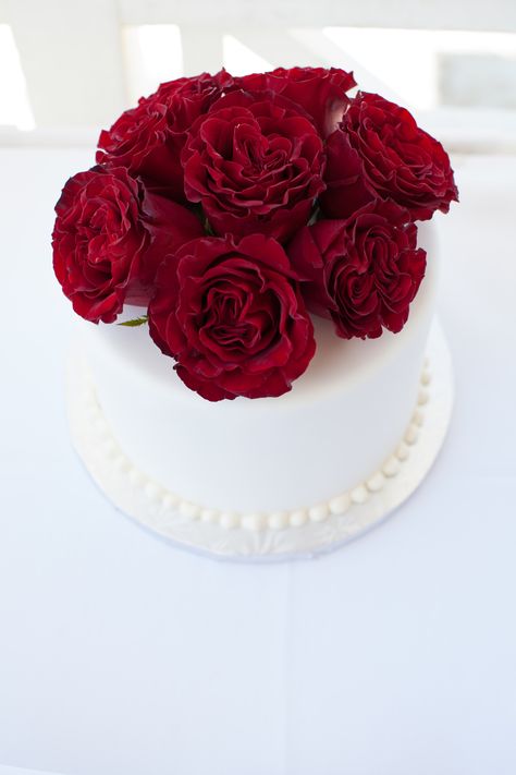 A small cake with deep red roses, styled by the cake chefs at Atlantis, Bahamas.  Perfect to have at your wedding ceremony with champagne! Red Roses Birthday Cake, Red Roses Cake Ideas, White Cake With Red Roses, White Sheet Cake, Simple Wedding Cake Red Roses, Cake With Red Roses, Deep Red Roses, Atlantis Bahamas, White Sheet