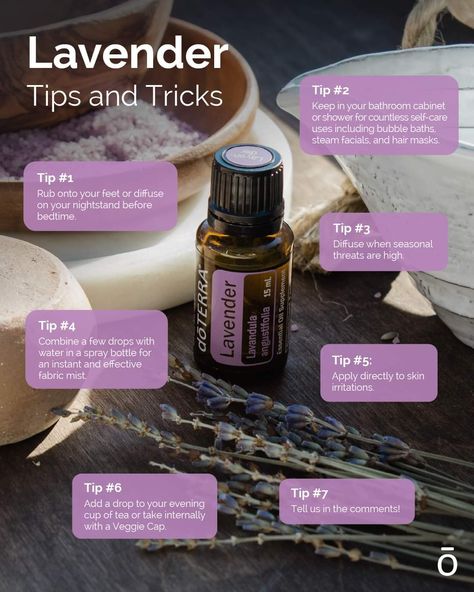 Lavanda Doterra, Doterra Lavender, Tips And Trick, Essential Oil Education, Doterra Essential Oils Recipes, What Are Essential Oils, Essential Oils Guide, Essential Oil Blends Recipes, Earthy Scent