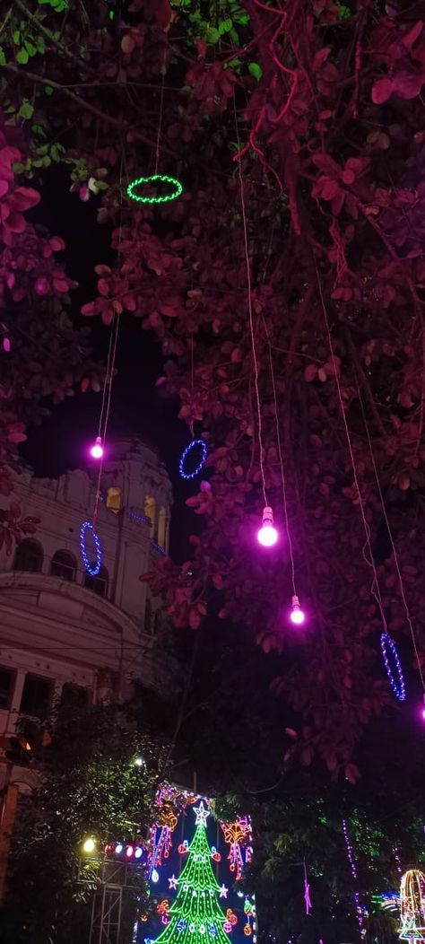 Park Street Kolkata, Best Christmas Wishes, Park Street, Girly Images, Christmas Aesthetic, Christmas Wishes, Kolkata, Christmas Fun, Christmas