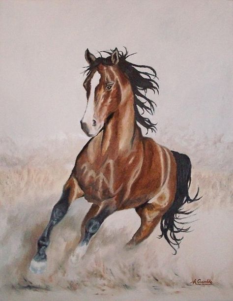 Galloping horse  original oil painting on canvas by AndromedaUK, $400.00 Run Art, Galloping Horse, Drawing Animals, Cowboy Art, Brown Horse, Equine Art, Arte Animal, Horse Pictures, Western Art