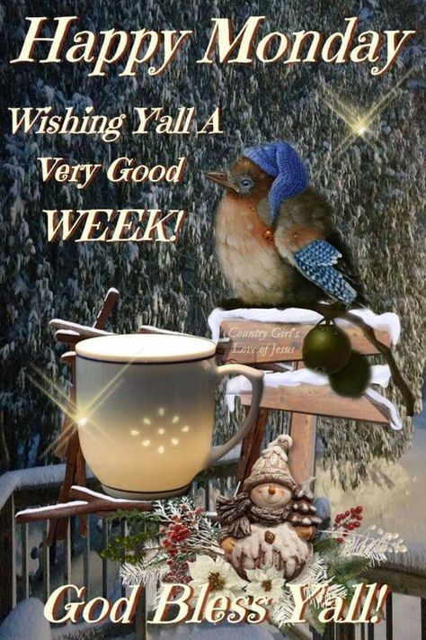 Quotes For Good Morning, December Prayers, Happy Wedding Anniversary Message, Christmas Friday, Goodnight Pictures, Kelly's Treehouse, Happy Friday Pictures, Friday Greetings, Good Morning God