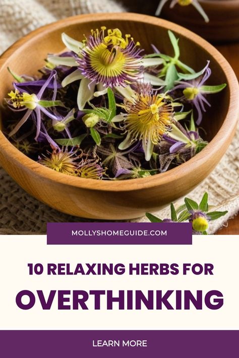 Herbs For Emotional Healing, Relaxing Herbs, Calming Herbs, Medicine Recipes, Herbal Education, Functional Nutrition, Herbal Medicine Recipes, Pain Relief Remedies, Medical Herbs