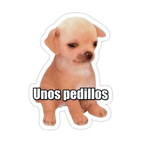 Unos Pedillos Meme Sticker by fomodesigns Sticker #sticker Stickers #stickers freesticker #freesticker freestickers #freestickers free download sticker #freedownloadsticker 10.314 Uno Memes, Ig Notes, Type 0 Negative, Candy Kabobs, Meme Design, Meme Stickers, Shrek, Free Stickers, Funky Art