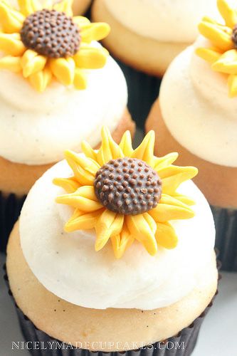 Vanilla Bean cupcakes | Flickr - Photo Sharing! Vanilla Bean Cupcakes, Vanilla Bean, Fondant, Photo Sharing, Sunflower, Vanilla, Hand Crafted, Ethnic Recipes