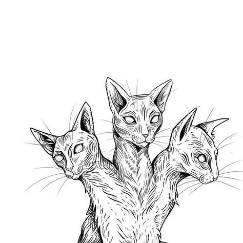 Cerberus Cat Tattoo, 3 Headed Dog Drawing, Two Headed Cat Tattoo, France Tattoo, Africa Tattoos, Tattoo 2024, Head Tattoos, Dainty Tattoos, Cat Person