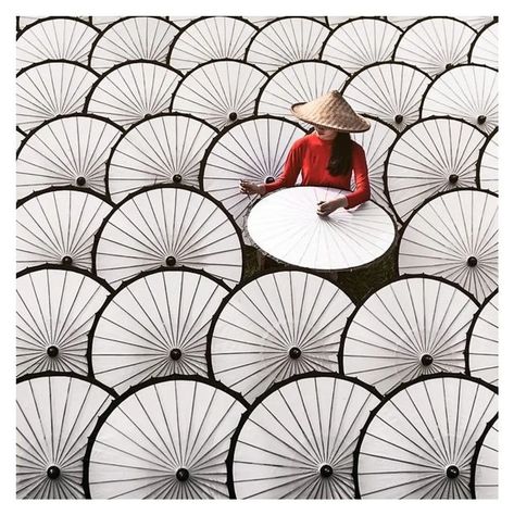 Point Photography, Congratulations Photos, Beautiful Vietnam, Paper Umbrellas, Asian Love, Creative Hub, Japan Culture, China Art, Street Photographers