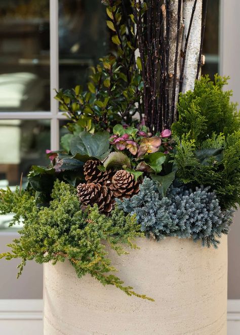 Large Winter Planters, Winter Container Garden, Holiday Porch Pots, Outdoor Winter Pots, Christmas Container Ideas, Winter Container Plants, Outdoor Planters Ideas, Outdoor Winter Decor, Fall Container Plants