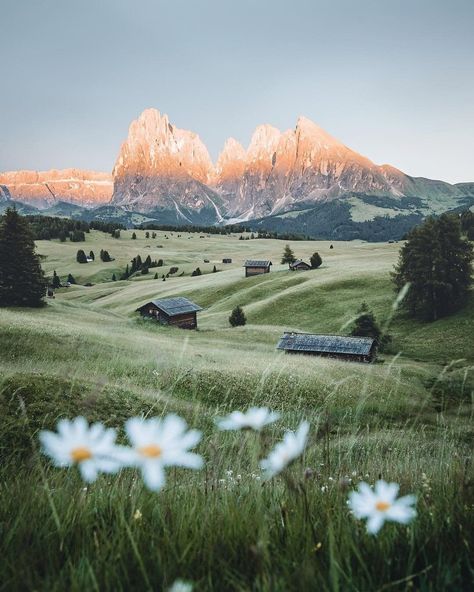 Travel + Leisure on Instagram: “Most visitors who come to the jagged, skyscraping peaks of northeastern Italy stay in the Badia Valley. But trust us: You need to venture…” Explore Italy, Nature Aesthetic, Pretty Places, North East, Travel And Leisure, Nature Travel, Land Scape, Beautiful World, Family Vacation