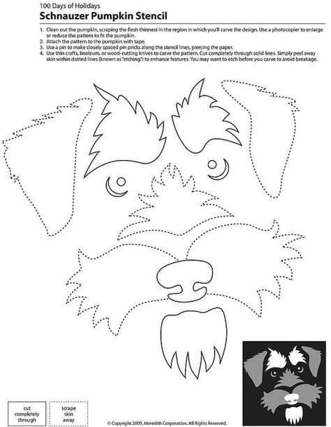 Schnauzer Pumpkin Stencil by Mutt-Uglies Freeform Sewing, Dog Stencil, Schnauzer Art, Dog Pumpkin, Dog Quilts, Pumpkin Stencil, Mini Schnauzer, Paper Stars, Miniature Schnauzer