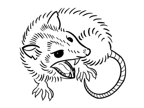 Possum Tattoo Simple, Opossum Tattoo, Beer Branding Design, Snow Tattoo, Lizard Tattoo, Abstract Tattoo Ideas, Left Arm Tattoos, Minimalist Tattoo Ideas, American Traditional Tattoo Ideas