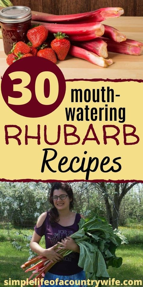 Have a lot of rhubarb and not sure what to do with it? Try these recipes. Raspberry Rhubarb Jam, Healthy Rhubarb Recipes, Rhubarb And Apple Crumble, Easy Rhubarb Recipes, Rhubarb Desserts Recipes, Rhubarb Crunch, Rhubarb Cookies, Rhubarb Pudding, Best Rhubarb Recipes