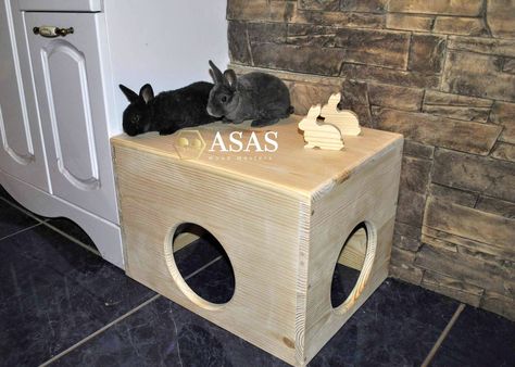 Rabbit Hideout, Rabbit Hide, Mini Rabbit, Bunny Room, Hidden House, Small Rabbit, Wooden Rabbit, Bunny House, House Rabbit