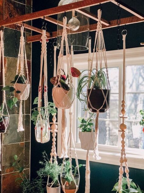 Hanging Plant Ladder | Hometalk Wood Ladder Plant Hanger, Ladder Plant Holder, Hanging Ladder From Ceiling With Plants, Ladder Plant Hanger Ceiling, Plants By Window, Plants In Window Ideas, Hanging Plants In Front Of Window, Ladder Plant Hanger, Ways To Hang Plants Indoors