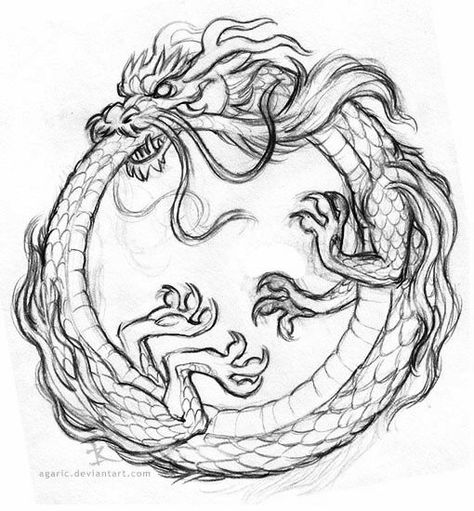 Chinese Dragon Drawing, Tattoos Sketches, Friendly Dragon, Dragon Tattoo Drawing, Japanese Dragon Drawing, Dragon Tattoo Sketch, Dragon Character, Ouroboros Tattoo, Eastern Dragon