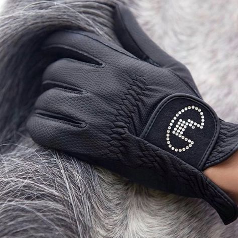 Horse Riding Gloves, Equine Care, Classic Equine, Breath Work, Polo Wraps, Horse And Human, Natural Horsemanship, Dressage Horses, Riding Gloves